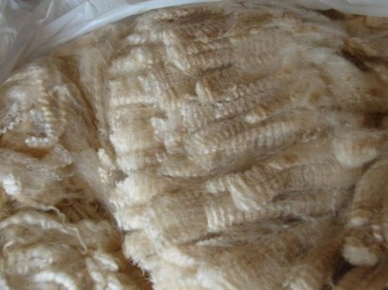 2011 Cria's Fleece