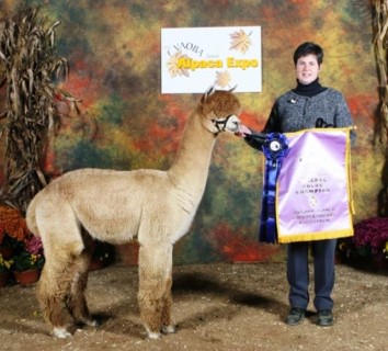 Sire of 2011 cria