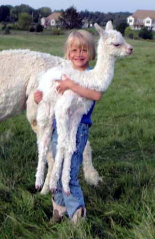 Cria&Friend