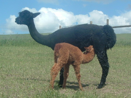 With daughter Kait, 2006