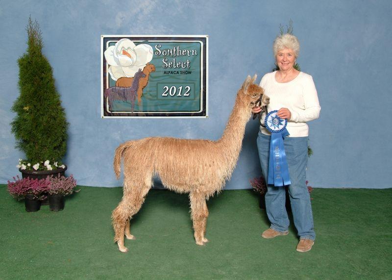 Cria- Blonde Bombshell