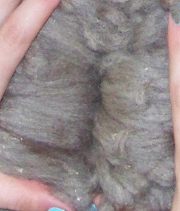 Unusual 'Purple' shade fleece!